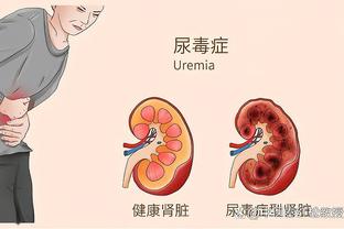 半岛综合体育网页版登录官网入口截图1